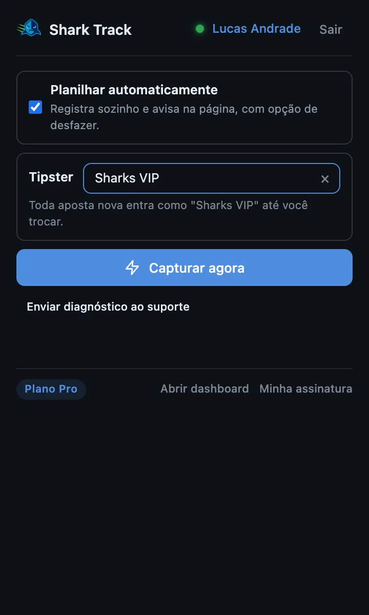 Painel da extensão logado